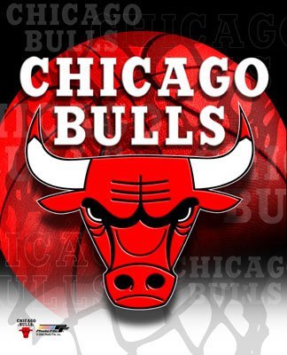 chicago bulls 2011 team photo. Chicago-ulls-logo-photograph-